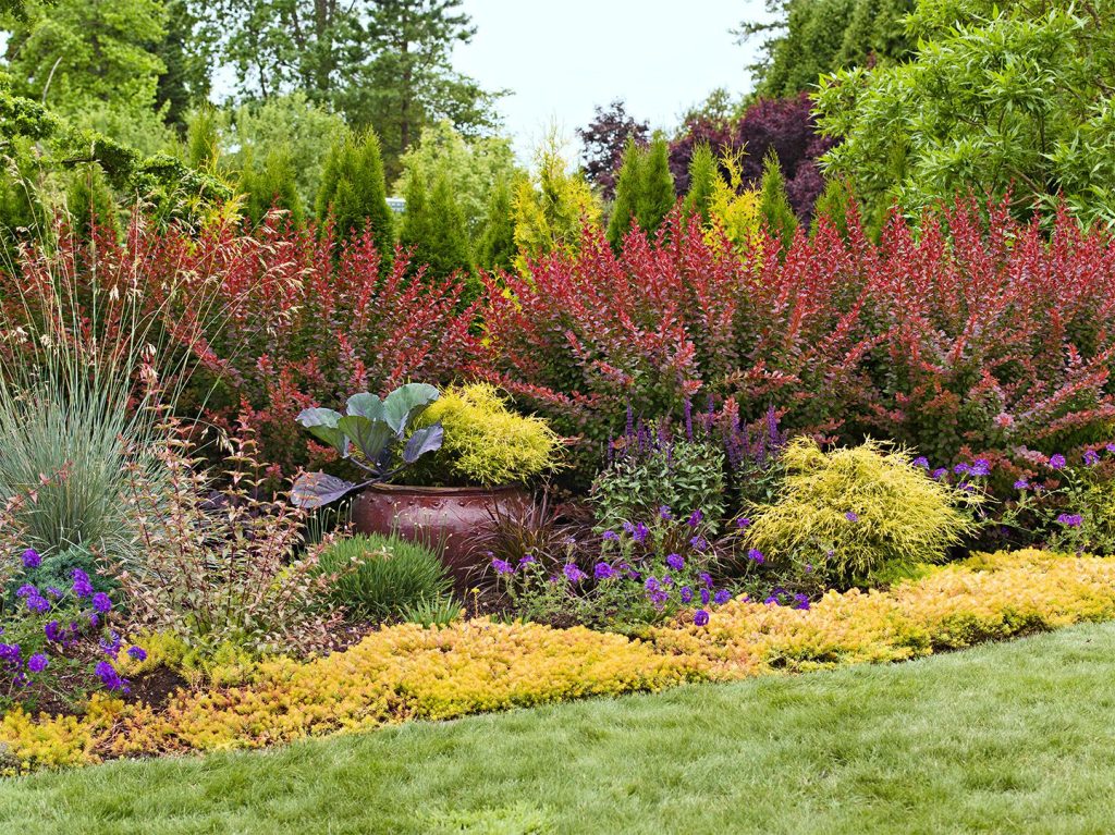 Trusted landscaping professionals in Victoria BC