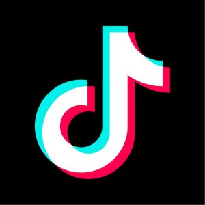 Tiktok video downloader